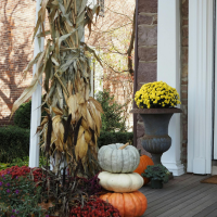 HOMEPAGE_FEATURE_IMAGES (18)